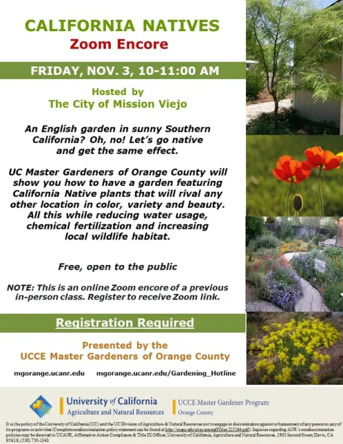 Sustainable Beauty: Dive into Native Plants with UC Experts!