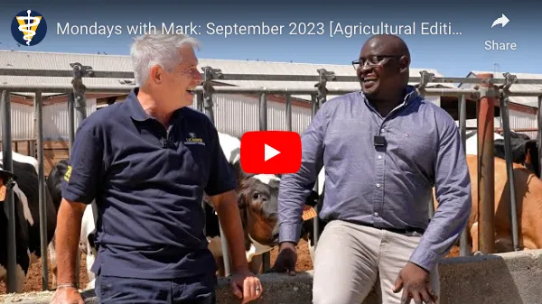 Mark Stetter and Emmanuel Okello lean on a pen of cows.