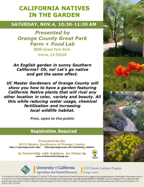 Wild Beauty, Wise Choices: California Natives in Your Garden Journey