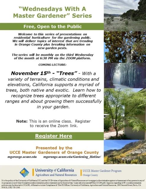 Dive into the World of Trees – Identify, Grow, and Transform Your Garden.