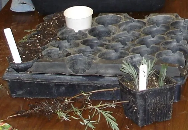 2010 Making cuttings for prop class 1