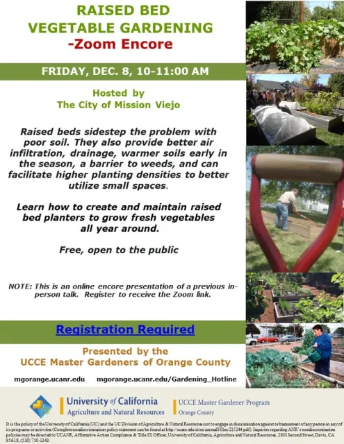 Zoom Encore: Dive into the World of Raised Beds – Transform Your Garden, Transform Your Life