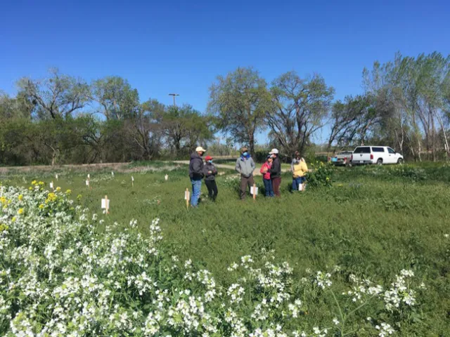Recorrido en auto (Drive-by) en el 2021