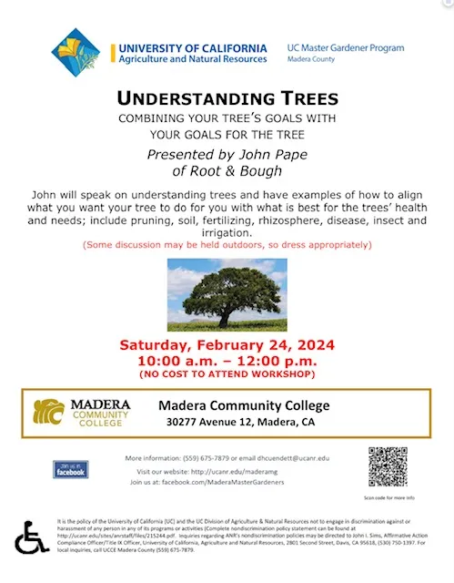 Trees by John Pape Feb 24 2024
