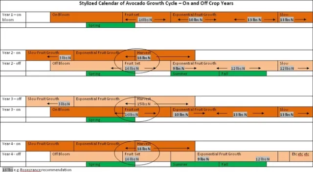 stylized N application On and Off year