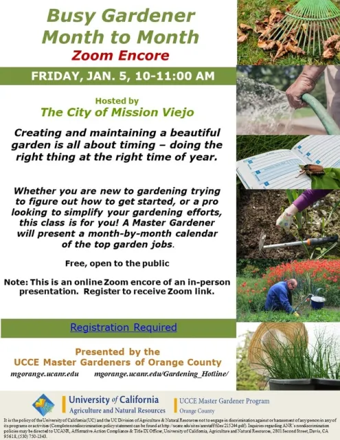 Timing is Everything: Dive into a Zoom Workshop with a Master Gardener