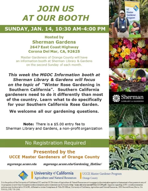 Garden Chat: Your Winter Rose Guide – MGOC Information Booth