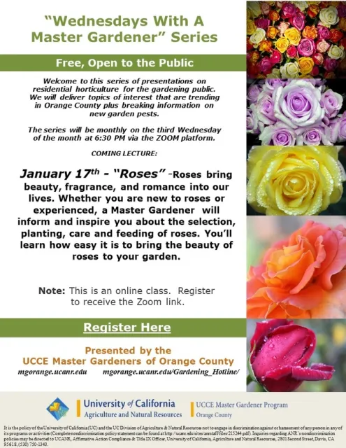 Garden Enchantment: 'Roses' Edition - A 'Wednesdays With A Master Gardener' Exclusive