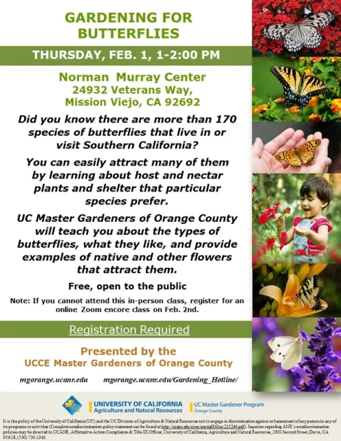 Discover Butterfly Secrets: 'Gardening for Butterflies' - RSVP for Free & Open Event