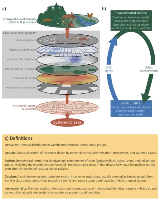 A figure that illustrates how structural racism and classism underpin landscape heterogeneity in cities. Courtesy of Schell