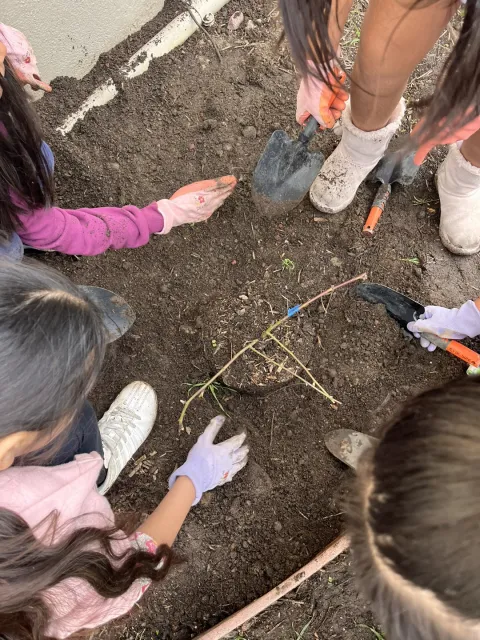 Elementary school students working in the school garden