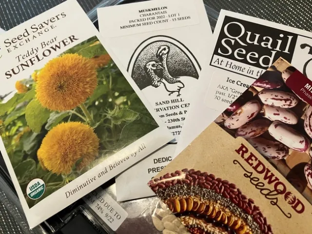 photo by Alex Russell