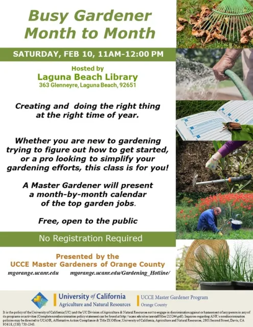 Grow with the Seasons: Master Gardener's Monthly Guide