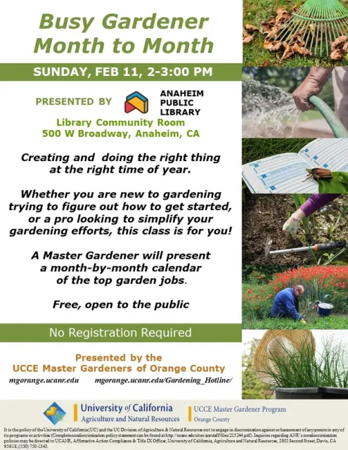 Gardening Wisdom Unveiled: A Year-round Guide by Experts