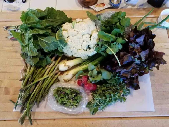 A typical month's share at GRUB CSA in Chico. Francine Stuelpnagel