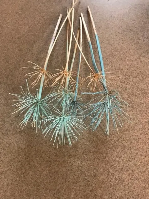 Agapanthus spray painted flower stalk.