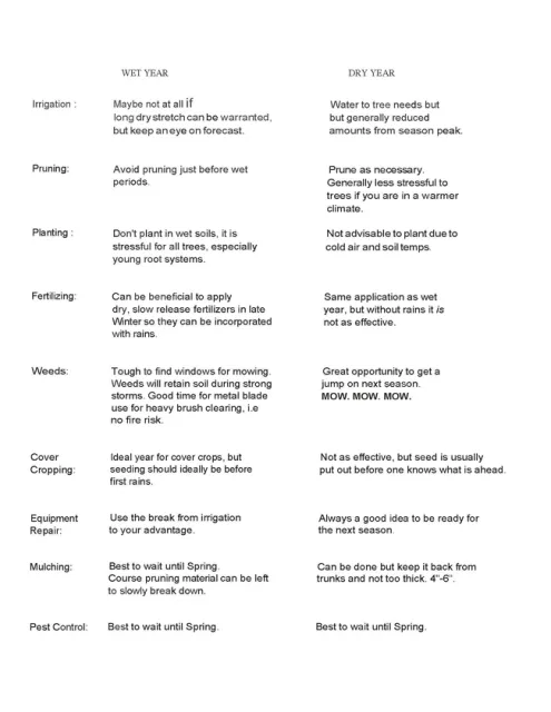 winter avocado notes