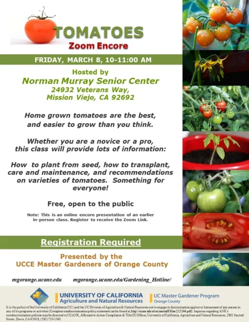 Unlock Tomato Mastery on Zoom! From Seed to Harvest, Join Now!