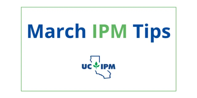 Visit the UC IPM Seasonal Landscape IPM Checklist for a list of pest prevention activities for each month.