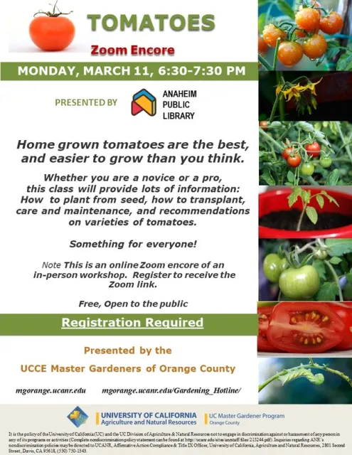 Join Us for a Tomato Extravaganza: Zoom Edition