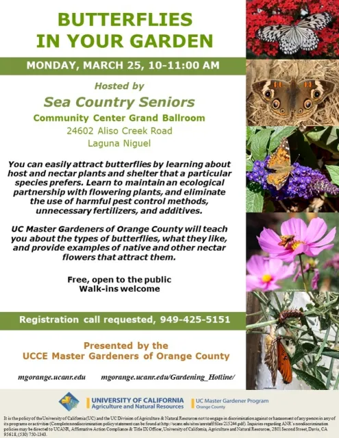 Take Action: Create Your Butterfly Sanctuary Today