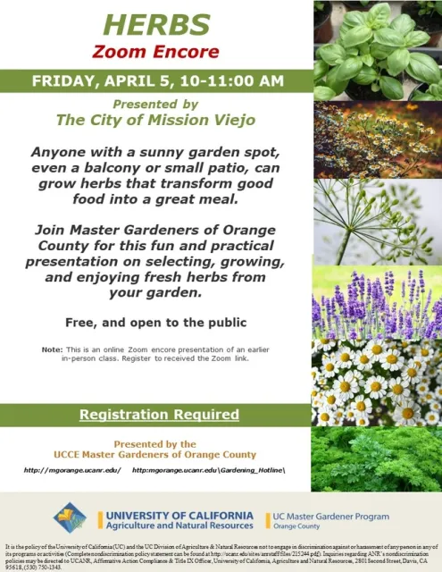 Join Us for HERBS Zoom Encore: Elevate Your Cooking Game