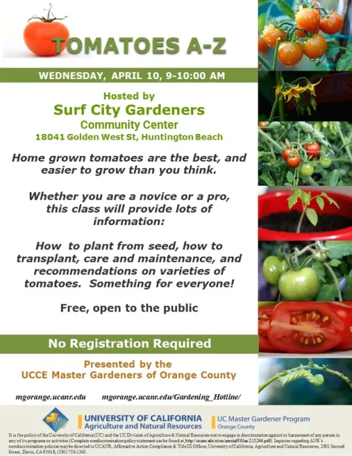 Calling All Tomato Lovers: Learn from Seed to Harvest at Our Tomato A-Z Class