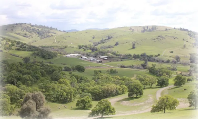 Sierra Foothill Research and Extension Center