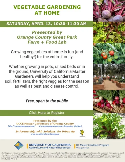 Plant Your Path to Wellness: Master Vegetable Gardening with Experts