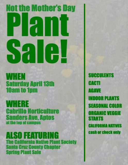 Screenshot 2024-04-09 at 7.22.51&nbsp;PM