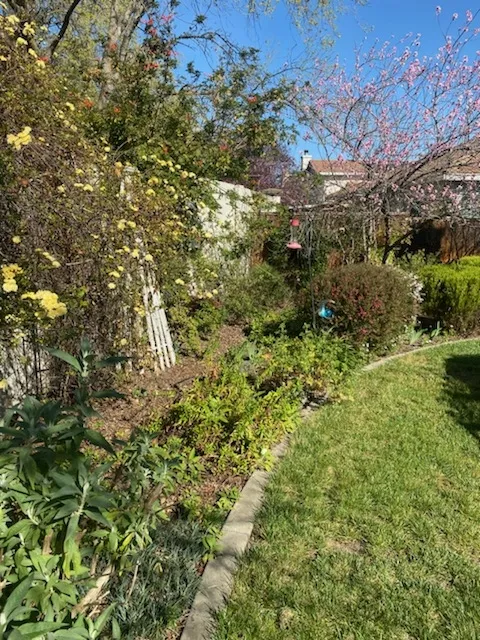 photos by Mike Gunther