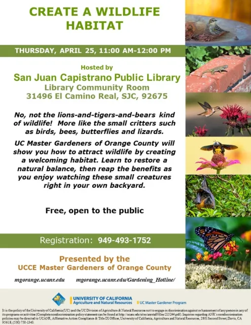 Transform Your Backyard: Create a Wildlife Haven