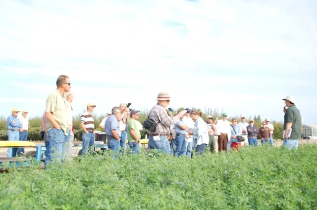 Alfalfa Field Day