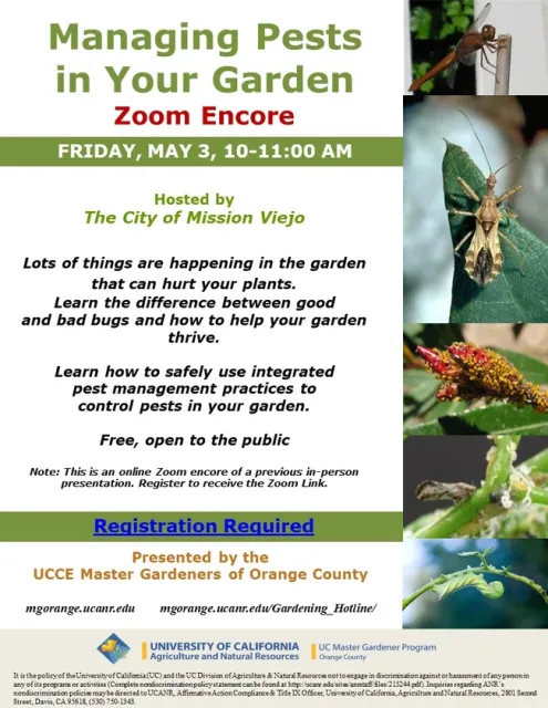 Master Your Garden: Join Our Zoom Encore on Managing Pests! Reserve Your Spot Now.