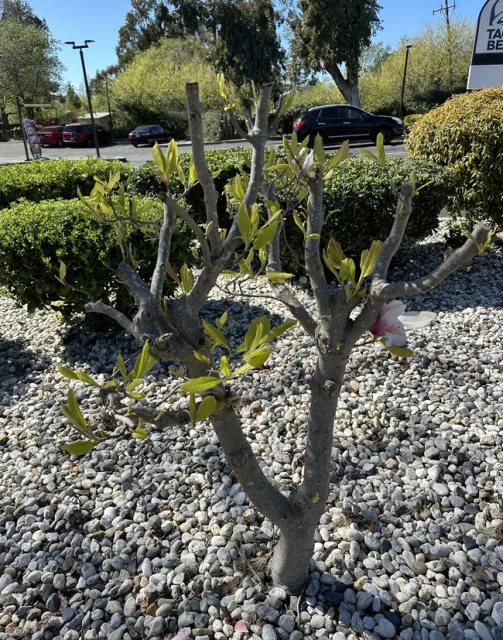 photos by Erin Mahaney