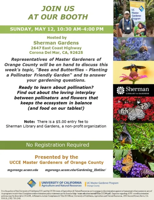 Buzz Over to Our Booth! Explore the world of pollinators and plants. Let's talk bees and butterflies.