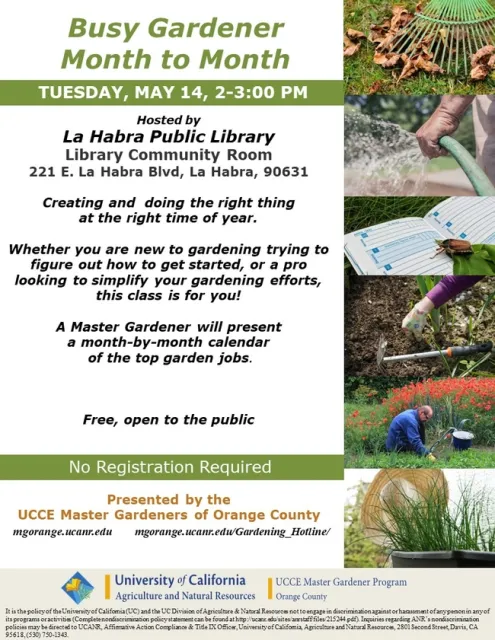 Master Your Garden Year-Round: Join Busy Gardener Month-to-Month! From Newbies to Pros.