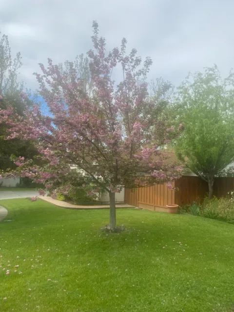 photos by Mike Gunther