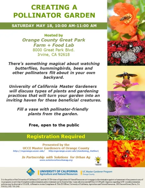 Transform Your Garden: Join Us for Pollinator Paradise