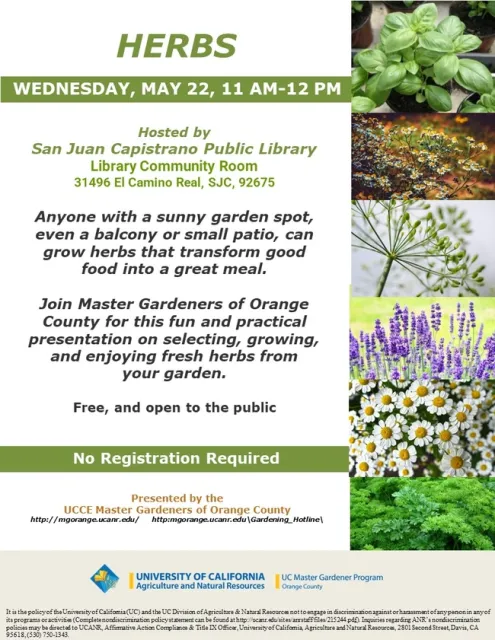 Elevate Your Cuisine: Master the Art of Growing Fresh Herbs