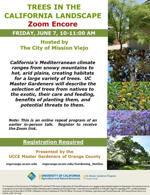 Don't Miss Our Zoom Encore: Trees in the California Landscape