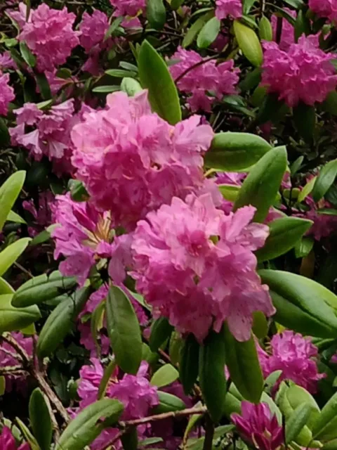 photos by Lanie and Jenny Keystone