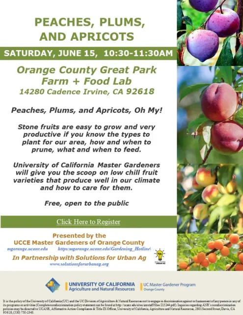 Peaches, Plums, Apricots – Your Guide to a Bountiful Harvest