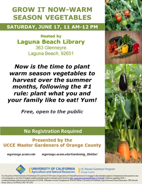 Kickstart Your Summer Garden – Warm Season Veggies Await