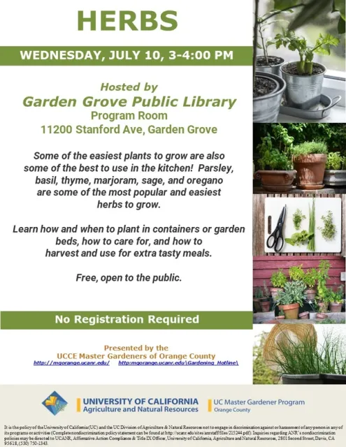 Make your kitchen garden thrive! Discover the secrets to growing and using herbs like thyme and oregano.