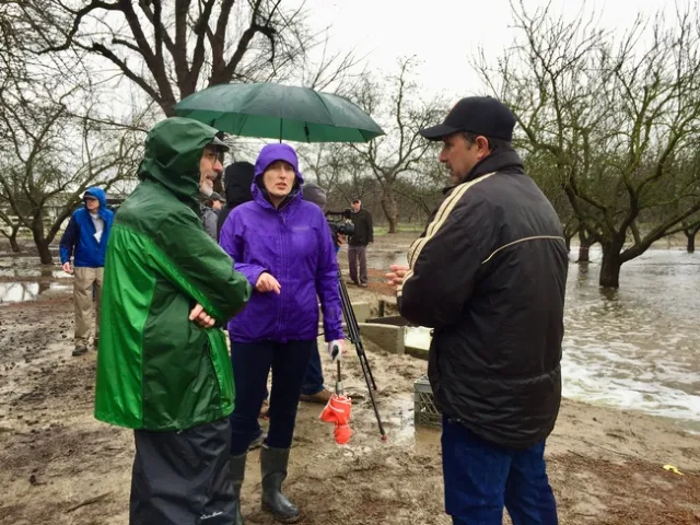 Shackel in green rain jacket, Dahlke in purple rain jacket and Duncan in hat and brown jacket talk as water flows into a dormant almond orchard.