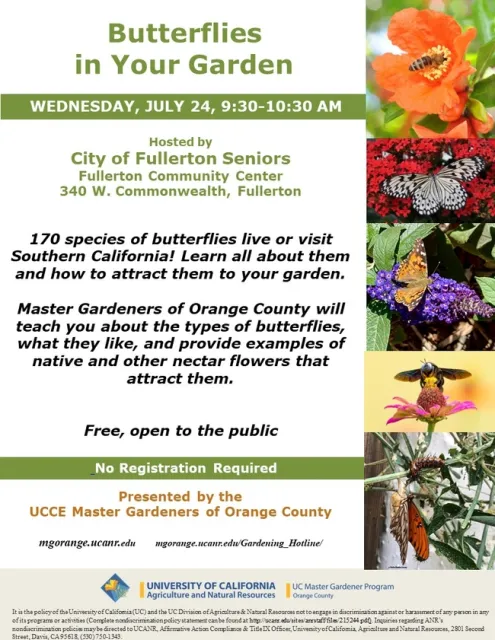 Invite Butterflies to Your Garden! Learn How!