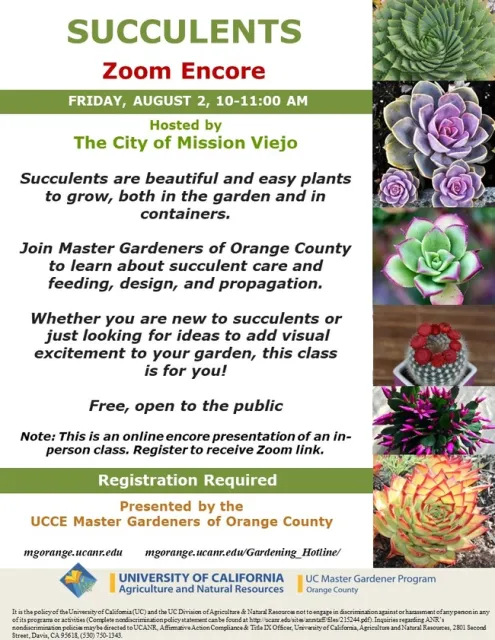 Transform Your Garden with Succulents: Zoom Class with Experts!