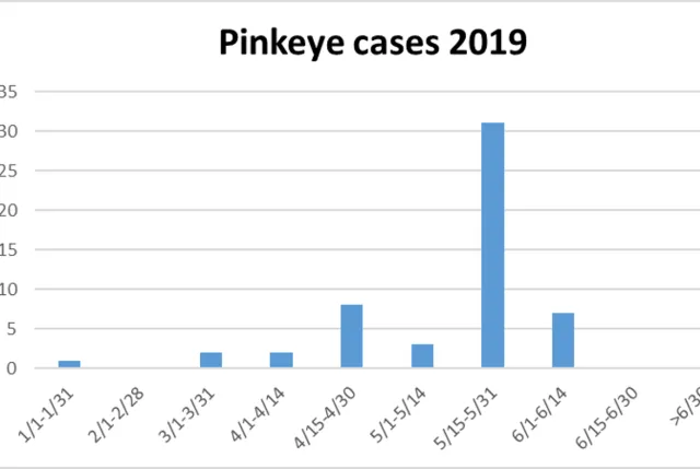 Pinkeye cases chart