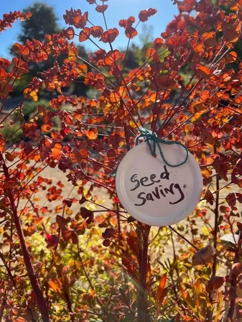 seed saving